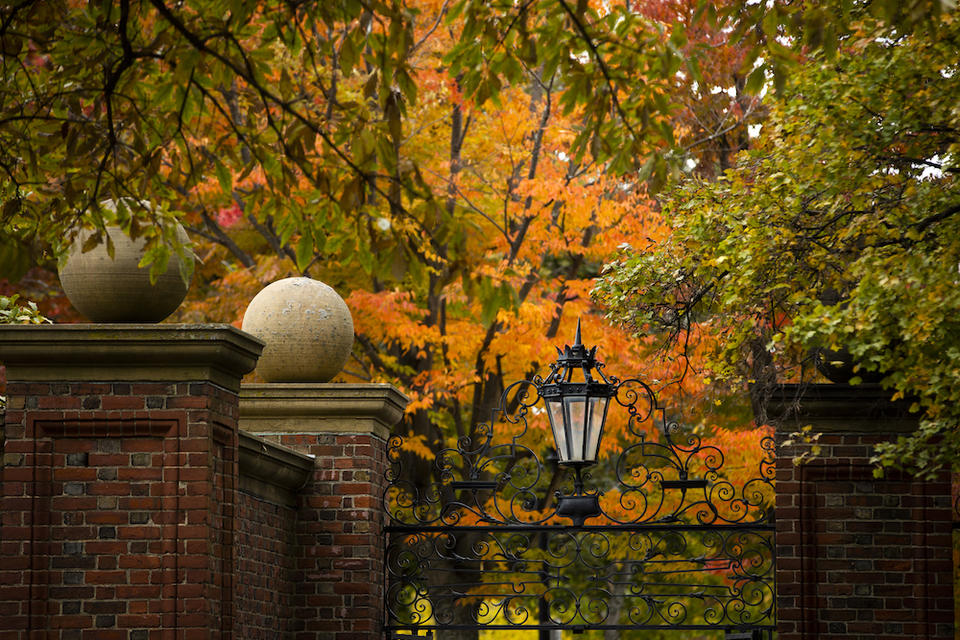 Harvard gate in the autumn leaves