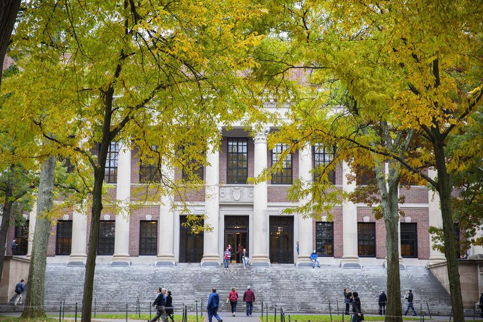 widener library